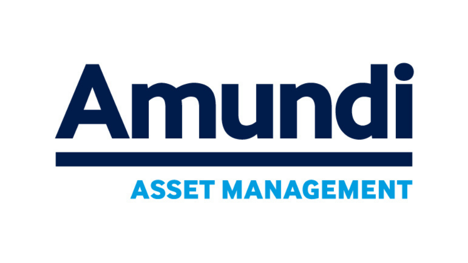 Logo partnera