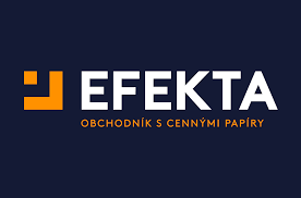 Logo partnera